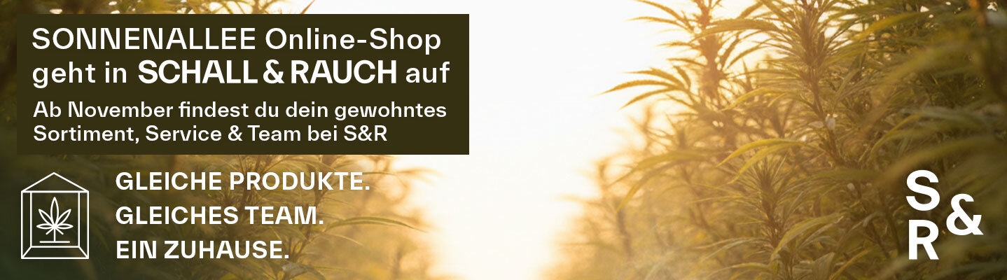 Sonnenallee geht in Schall & Rauch auf