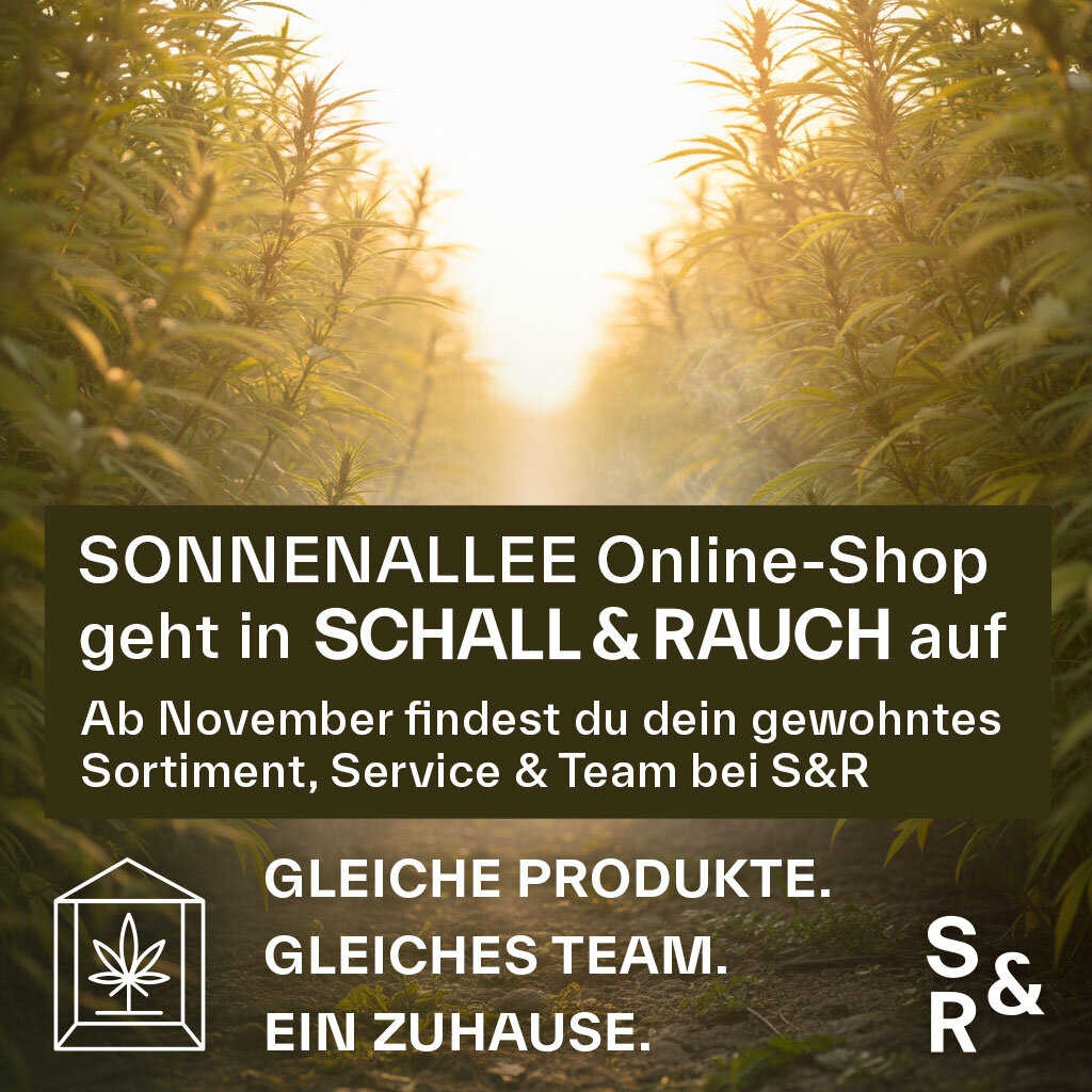 Sonnenallee Online-Shop geht in Schall & Rauch auf
