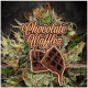 Paradise Seeds Chocolate Wafflez | Feminisiert | 10 Samen