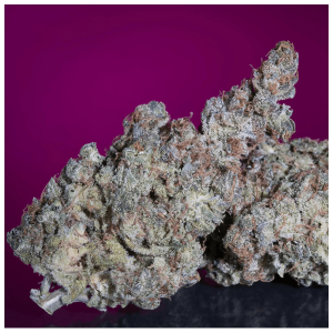 Paradise Seeds White Noise | Feminisiert | 5 Samen