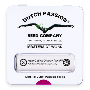 Dutch Passion Auto Critical Orange Punch | Automatik | 3...