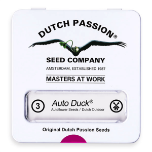 Dutch Passion Auto Duck | Automatik | 3 Samen