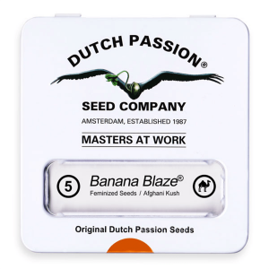 Dutch Passion Banana Blaze | Feminisiert | 5 Samen