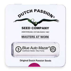 Dutch Passion Blue Auto Mazar | Automatik | 3 Samen
