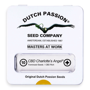 Dutch Passion CBD Charlottes Angel | Feminisiert | 10 Samen