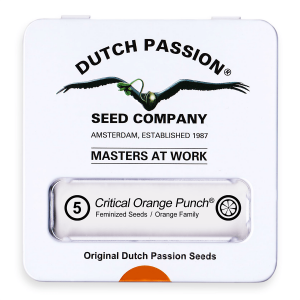 Dutch Passion Critical Orange Punch | Feminisiert | 5 Samen