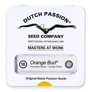 Dutch Passion Orange Bud | Feminisiert | 10 Samen