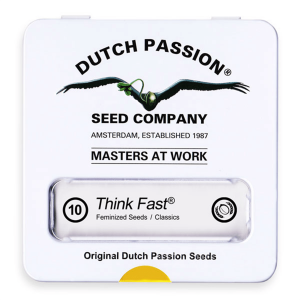 Dutch Passion Think Fast | Feminisiert | 10 Samen