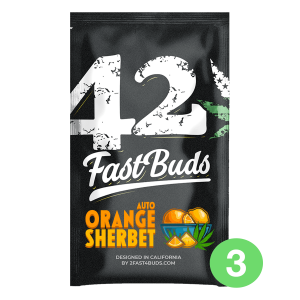 Fast Buds Orange Sherbet | Automatik | 3 Samen