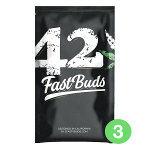 Fast Buds Original OG Kush | Automatik | 3 Samen