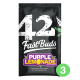 Fast Buds Purple Lemonade | Automatik | 3 Samen